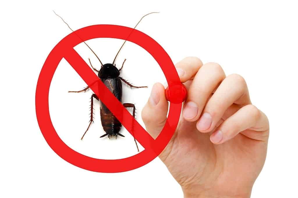 residential and commercial pest control services