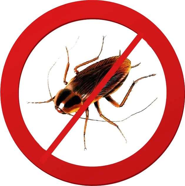 Cockroach pest control sydney