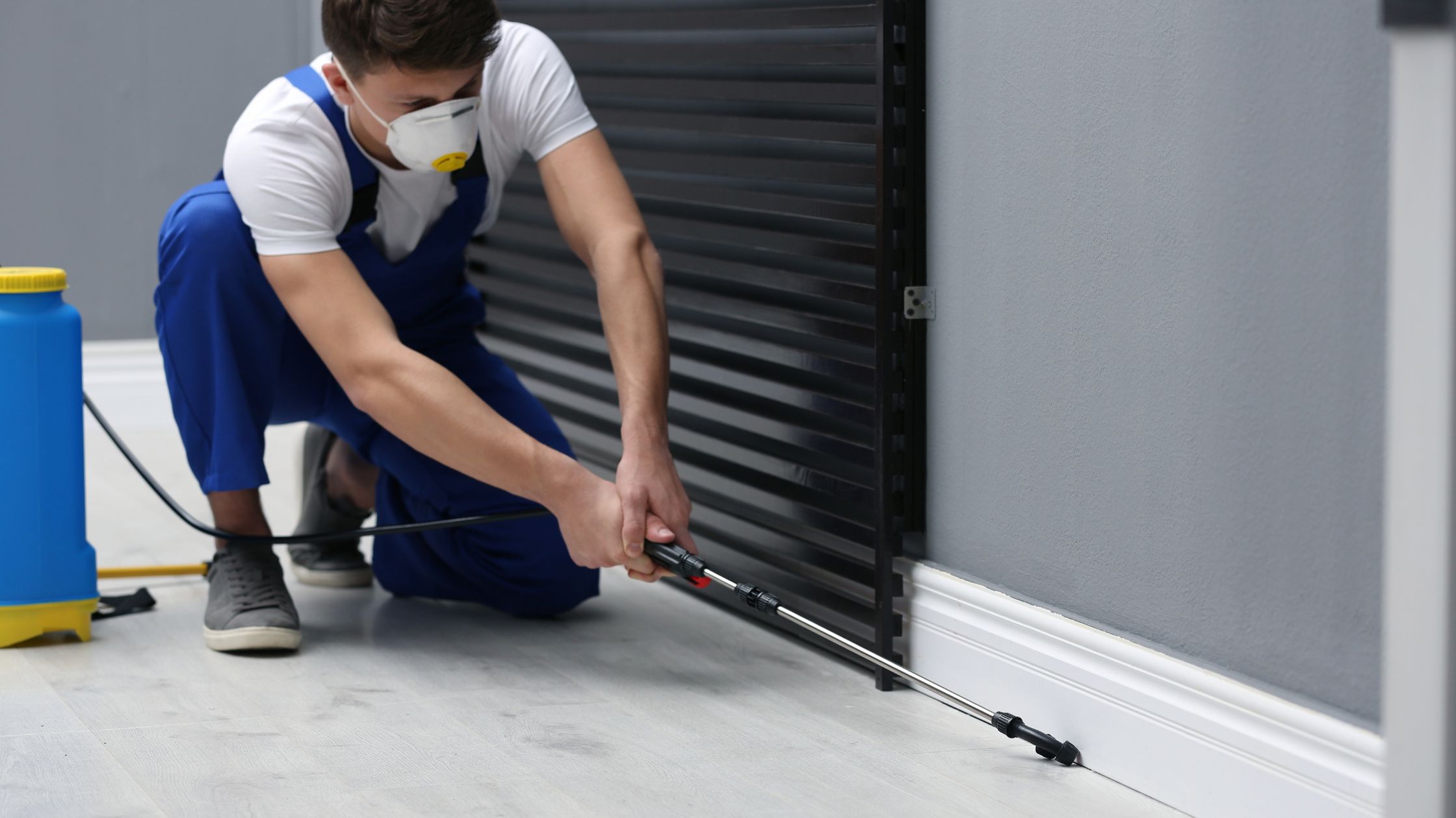 Pest Control Services