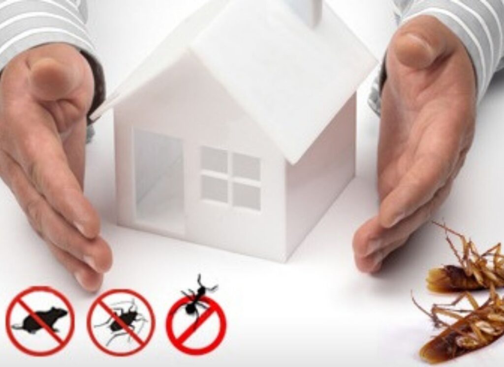 Residential Pest Control North Shore
