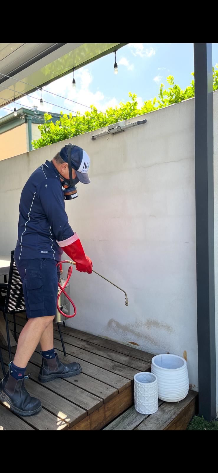 pest control north shore