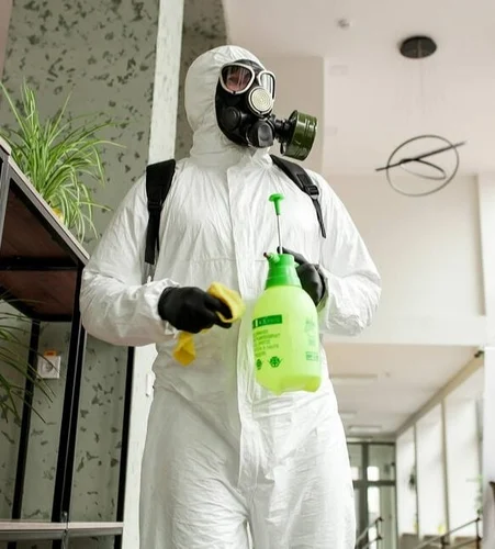 best North Shore Pest Control