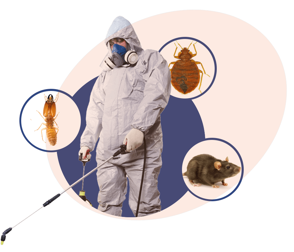 Commercial Pest Control North Shore