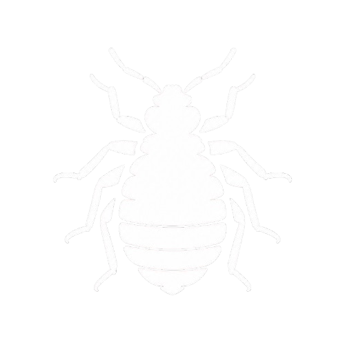 Bug Pest Control