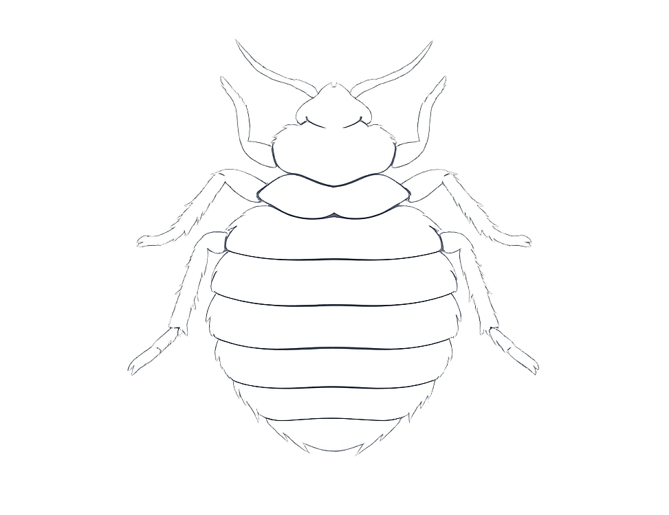 Pest Control Inner West