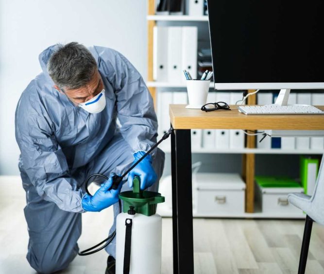Pest Control Rozelle