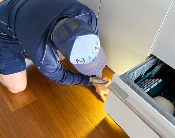 Pest Control North Shore